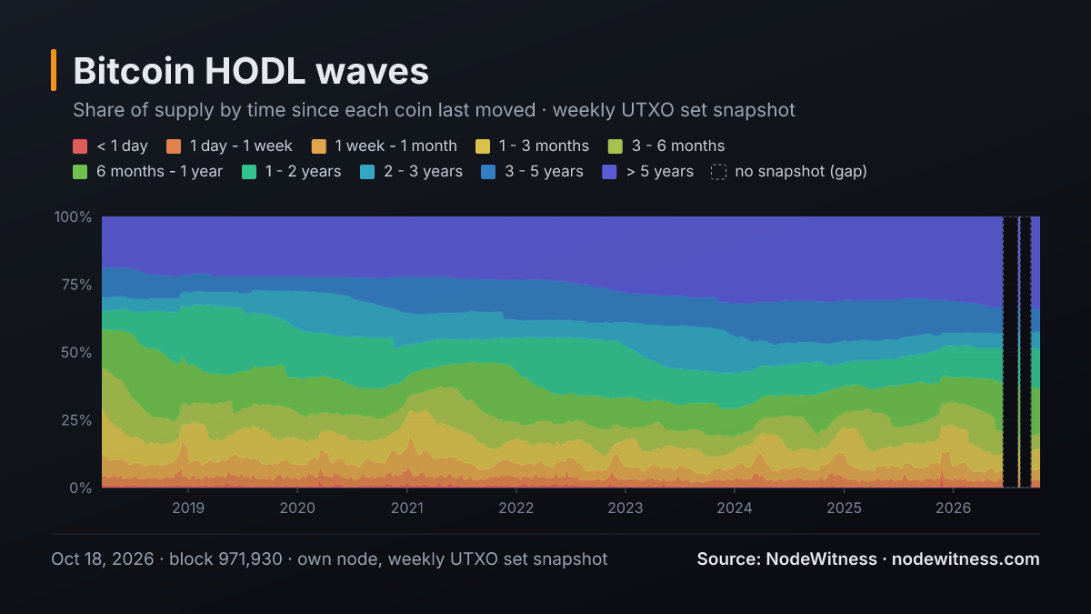 Bitcoin HODL waves: share of supply by coin age (Oct 18, 2026)