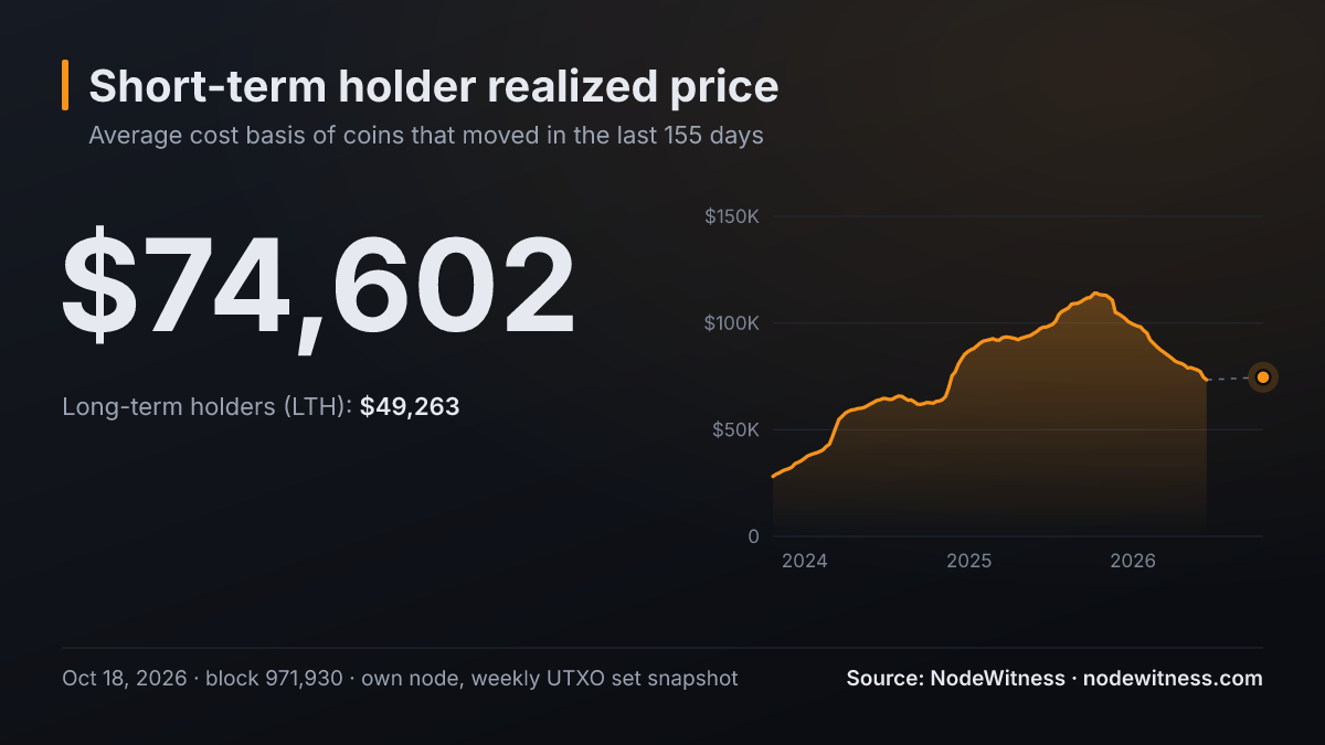 Bitcoin short-term holder realized price: $74,602 (UTXO set snapshot of Oct 18, 2026, block 971,930).