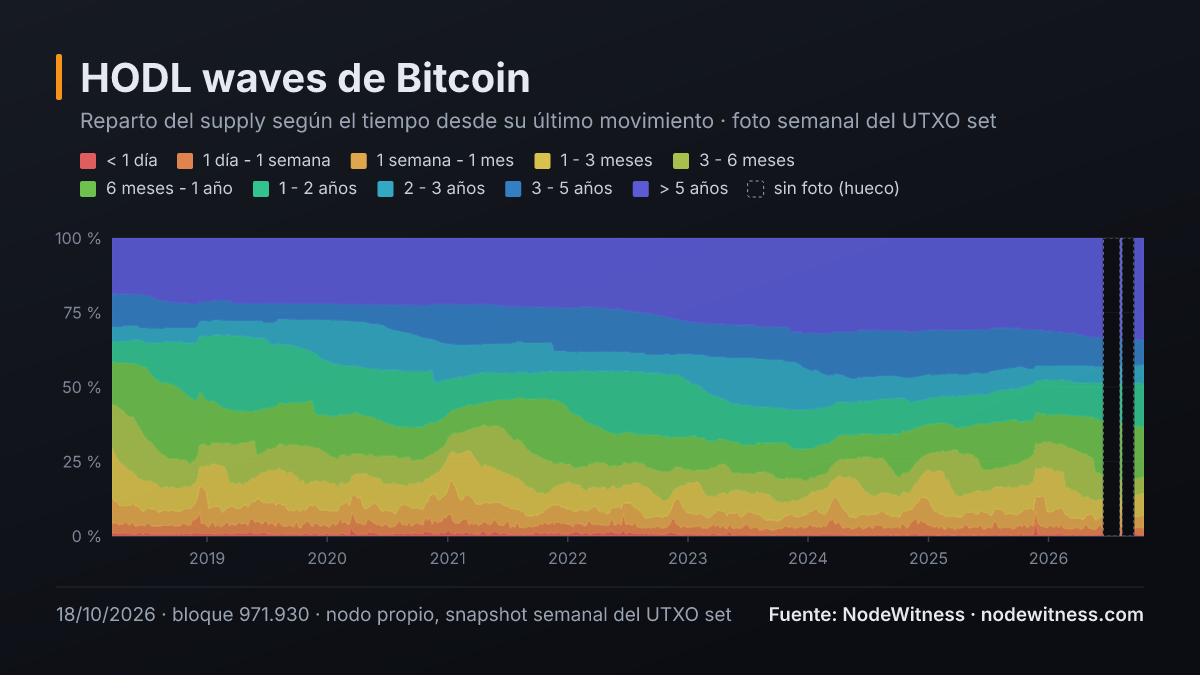 HODL waves de Bitcoin: porcentaje del supply por antigüedad (18/10/2026)